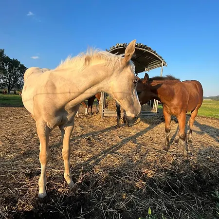 S Vyhladom Na Tatry Σπίτι διακοπών Hrabušice