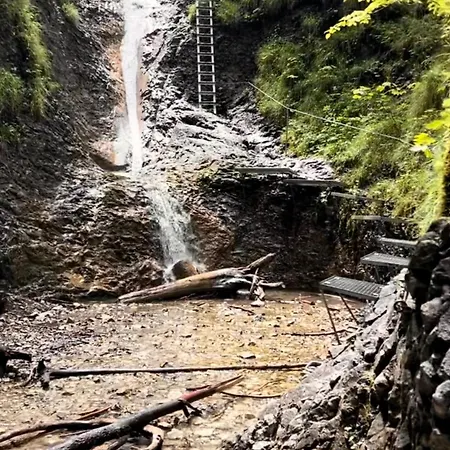 S Vyhladom Na Tatry *
